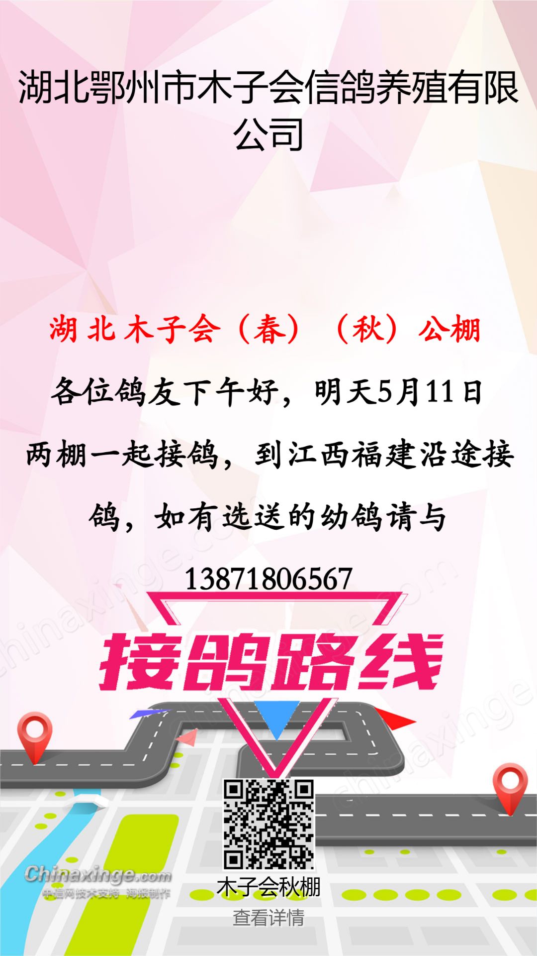 未央鸽会最新动态,未央鸽会最新动态深度解析，未央鸽会最新动态揭秘与深度解析