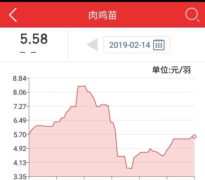 鸡肉价格最新行情,鸡肉价格最新行情分析